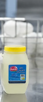 پنیر لاکتیکی - تصویر 6