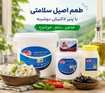 پنیر لاکتیکی - تصویر 8