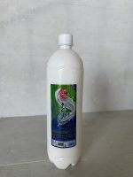 دوغ ساده - تصویر 8